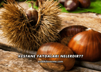 Kestane Faydaları Nelerdir?