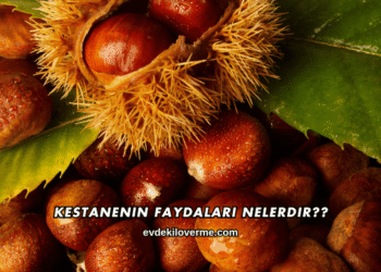 Kestanenin Faydaları Nelerdir?