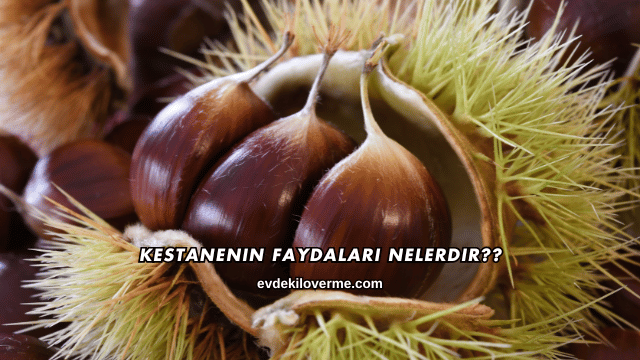 Kestanenin Faydaları Nelerdir?