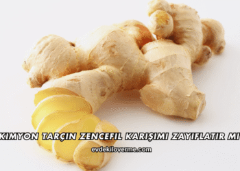 Kimyon Tarçın Zencefil Karışımı Zayıflatır mı?
