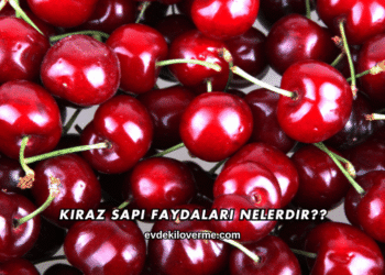 Kiraz Sapı Faydaları Nelerdir?