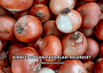 Kırmızı Soğan Faydaları Nelerdir?