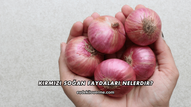 Kırmızı Soğan Faydaları Nelerdir?