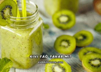 Kivi Yağ Yakar mı?