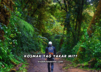 Koşmak Yağ Yakar mı?