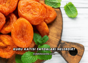 Kuru Kayısı Faydaları Nelerdir?
