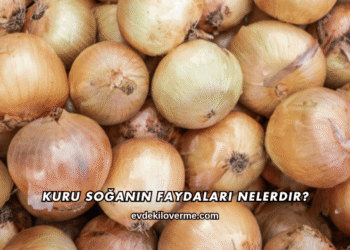 Kuru Soğanın Faydaları Nelerdir?