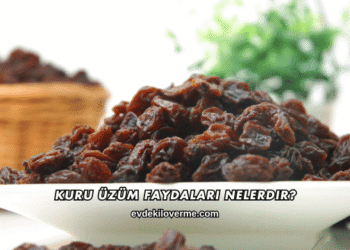 Kuru Üzüm Faydaları Nelerdir?
