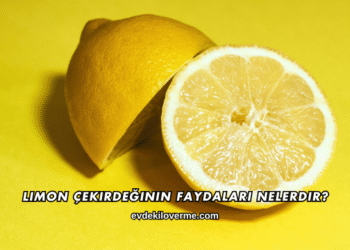 Limon Çekirdeğinin Faydaları Nelerdir?
