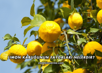 Limon Kabuğunun Faydaları Nelerdir?