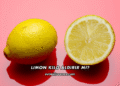 Limon Kilo Aldırır mı?
