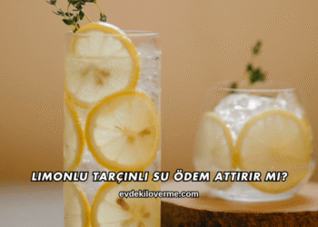 Limonlu Tarçınlı Su Ödem Attırır mı?
