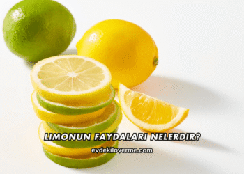 Limonun Faydaları Nelerdir?