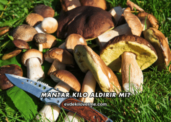 Mantar Kilo Aldırır mı?