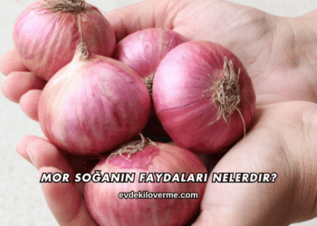 Mor Soğanın Faydaları Nelerdir?
