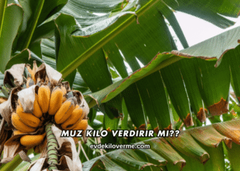 Muz Kilo Verdirir mi?