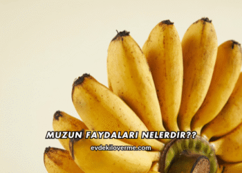 Muzun Faydaları Nelerdir?