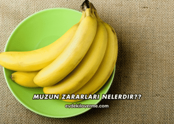 Muzun Zararları Nelerdir?