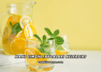 Nane Limon Faydaları Nelerdir?