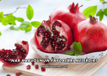 Nar Kabuğunun Faydaları Nelerdir?