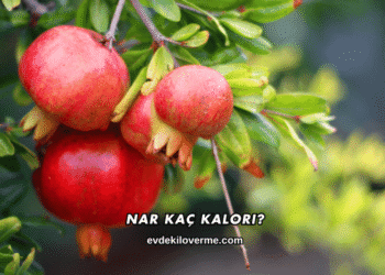 Nar Kaç Kalori?
