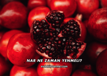 Nar Ne Zaman Yenmeli?