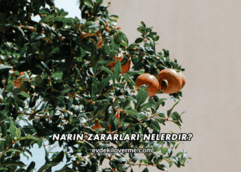 Narın Zararları Nelerdir?