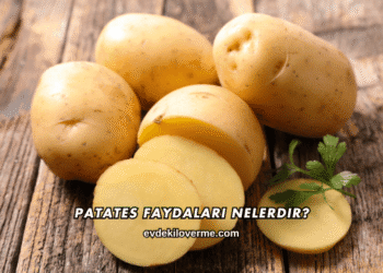 Patates Faydaları Nelerdir?