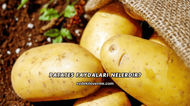 Patates Faydaları Nelerdir?