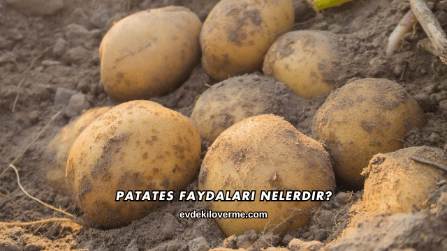 Patates Faydaları Nelerdir?