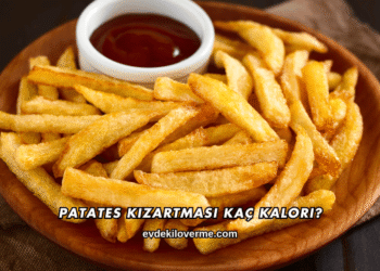 Patates Kızartması Kaç Kalori?