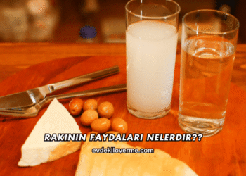 Rakının Faydaları Nelerdir?