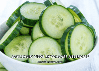 Salatalık Cilde Faydaları Nelerdir?