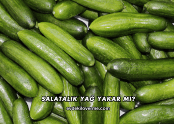 Salatalık Yağ Yakar mı?