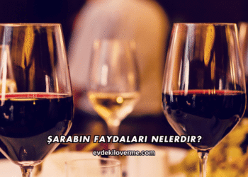 Şarabın Faydaları Nelerdir?
