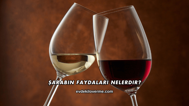 Şarabın Faydaları Nelerdir?
