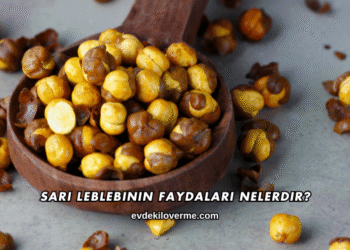 Sarı Leblebinin Faydaları Nelerdir?