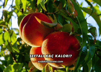 Şeftali Kaç Kalori?