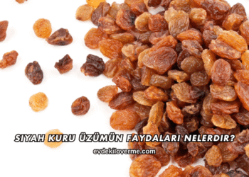 Siyah Kuru Üzümün Faydaları Nelerdir?