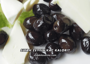 Siyah Zeytin Kaç Kalori?