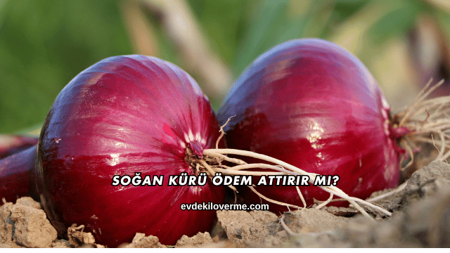 Soğan Kürü Ödem Attırır mı?
