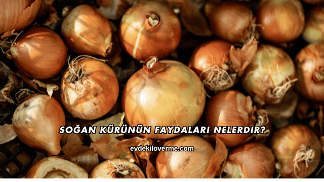 Soğan Kürünün Faydaları Nelerdir?