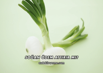 Soğan Ödem Attırır mı?