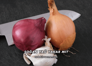 Soğan Yağ Yakar mı?
