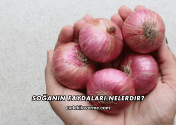 Soğanın Faydaları Nelerdir?