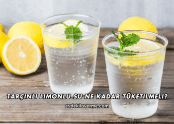 Tarçınlı Limonlu Su Ne Kadar Tüketilmeli?
