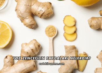 Toz Zencefilin Faydaları Nelerdir?