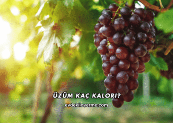Üzüm Kaç Kalori?