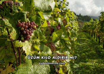 Üzüm Kilo Aldırır mı?