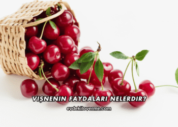 Vişnenin Faydaları Nelerdir?